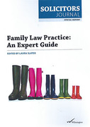 Cover of Family Law Practice: An Expert Guide