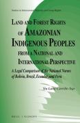 Cover of Land and Forest Rights of Amazonian Indigenous Peoples from a National and International Perspective: A Legal Comparison of the National Norms of Bolivia, Brazil, Ecuador, and Peru