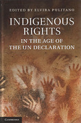 Cover of Indigenous Rights: In the Age of the UN Declaration