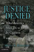 Cover of Justice Denied: What America Must Do to Protect Its Children