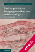 Cover of The European Union, Emerging Global Business and Human Rights (eBook)