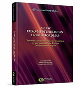 Cover of A New Euro-Mediterranean Energy Roadmap: Towards a Sustainable Energy Transition in the Southern and Eastern Mediterranean Region