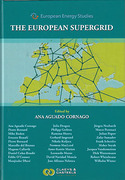 Cover of The European Supergrid