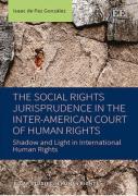 Cover of The Social Rights Jurisprudence in the Inter-American Court of Human Rights: Shadow and Light in International Human Rights