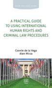 Cover of A Practical Guide to Using International Human Rights and Criminal Law Procedures