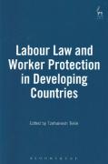 Cover of Labour Law and Worker Protection in Developing Countries