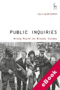 Cover of Public Inquiries: Wrong Route on Bloody Sunday (eBook)