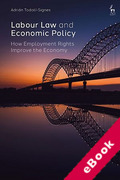 Cover of Labour Law and Economic Policy: How Employment Rights Improve the Economy (eBook)