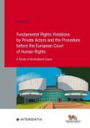 Cover of Fundamental Rights Violations by Privte Actors and the Procedure Before the European Court of Human Rights: A Study of Verticalised Cases