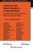 Cover of Labour Law and Social Protection in a Globalized World: Changing Realities in Selected Areas of Law and Policy
