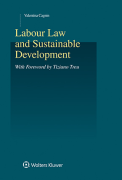 Cover of Labour Law and Sustainable Development