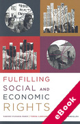 Cover of Fulfilling Social and Economic Rights (eBook)