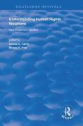 Cover of Understanding Human Rights Violations: New Systematic Studies