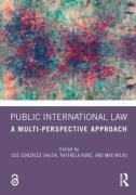 Cover of Public International Law: A Multi-Perspective Approach