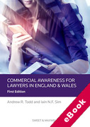 Cover of Commercial Awareness for Lawyers: English/Welsh Edition (eBook)