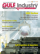 Cover of Gulf Construction: Print + Online