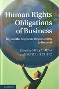 Cover of Human Rights Obligations of Business: Beyond the Corporate Responsibility to Respect?