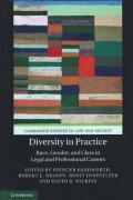 Cover of Diversity in Practice: Race, Gender, and Class in Legal and Professional Careers