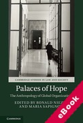 Cover of Palaces of Hope: The Anthropology of Global Organizations (eBook)