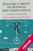 Cover of Building a Treaty on Business and Human Rights: Context and Contours (eBook)