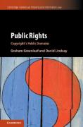 Cover of Public Rights: Copyright's Public Domains