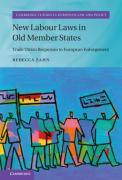 Cover of New Labour Laws in Old Member States: Trade Union Responses to European Enlargement