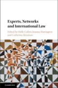 Cover of Experts, Networks and International Law