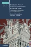 Cover of Emerging Powers in the International Economic Order: Cooperation, Competition and Transformation