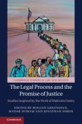 Cover of The Legal Process and the Promise of Justice: Studies Inspired by the Work of Malcolm Feeley