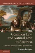 Cover of Common Law and Natural Law in America: From the Puritans to the Legal Realists