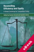 Cover of Reconciling Efficiency and Equity: A Global Challenge for Competition Law? (eBook)