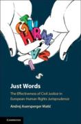 Cover of Just Words: The Effectiveness of Civil Justice in European Human Rights Jurisprudence