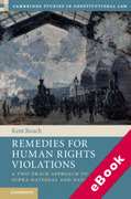 Cover of Remedies for Human Rights Violations: A Two-Track Approach to Supra-national and National Law (eBook)