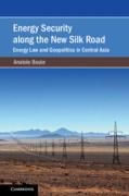 Cover of Energy Security along the New Silk Road: Energy Law and Geopolitics in Central Asia