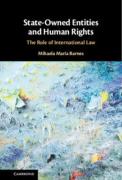 Cover of State-Owned Entities and Human Rights: The Role of International Law