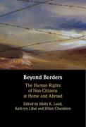 Cover of Beyond Borders: The Human Rights of Non-Citizens at Home and Abroad