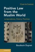 Cover of Positive Law from the Muslim World: Jurisprudence, History, Practices