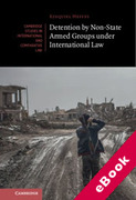 Cover of Detention by Non-State Armed Groups under International Law (eBook)