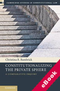 Cover of Constitutionalizing the Private Sphere: A Comparative Inquiry (eBook)