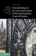 Cover of The Individual in the Law and Practice of the International Court of Justice