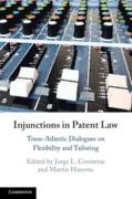 Cover of Injunctions in Patent Law: Trans-Atlantic Dialogues on Flexibility and Tailoring