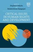 Cover of Critical Issues in Human Rights and Development