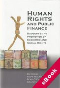 Cover of Human Rights and Public Finance: Budgets and the Promotion of Economic and Social Rights (eBook)