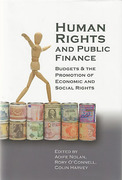 Cover of Human Rights and Public Finance: Budgets and the Promotion of Economic and Social Rights