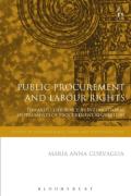 Cover of Public Procurement and Labour Rights: Towards Coherence in International Instruments of Procurement Regulation