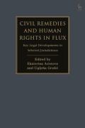 Cover of Civil Remedies and Human Rights in Flux: Key Legal Developments in Selected Jurisdictions
