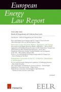Cover of European Energy Law Report Volume 13