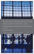 Cover of Business Reorganisations and Employment Law: Reorganisations, Redundancies and Transfers