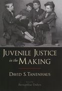 Cover of Juvenile Justice in the Making