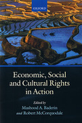 Cover of Economic, Social, and Cultural Rights in Action